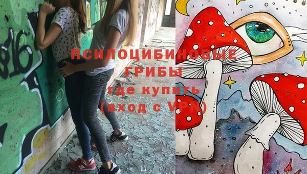 ешки Надым