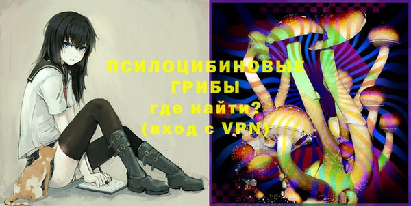 ешки Надым