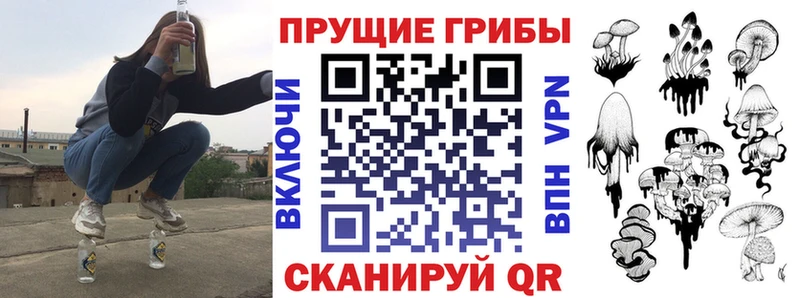 Купить закладки Усть-Лабинск Псилоцибиновые грибы мицелий